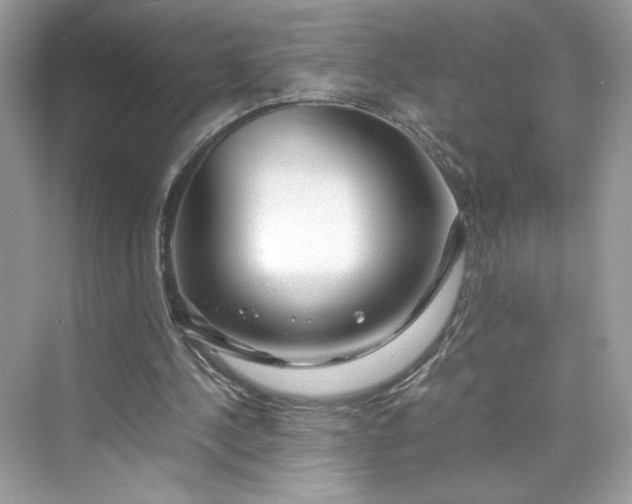 X0000075840244200609291445