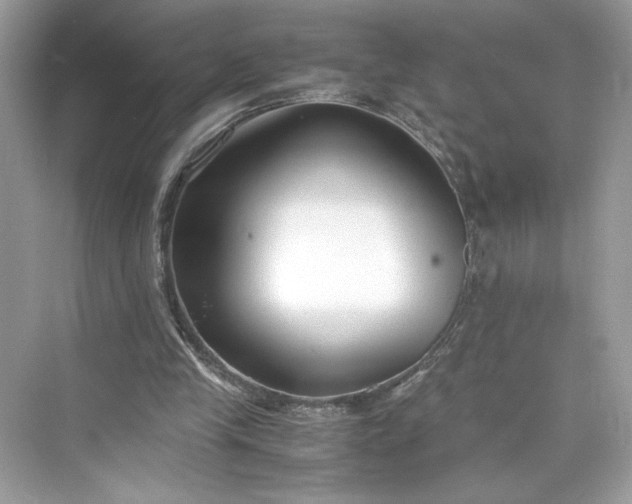 X0000075840245200609291445