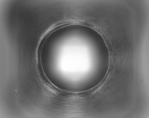 X0000075840246200609291445