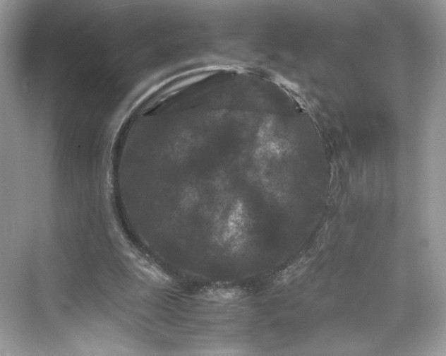 X0000075840247200609291445