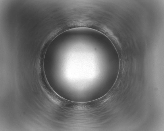 X0000075840250200609291445