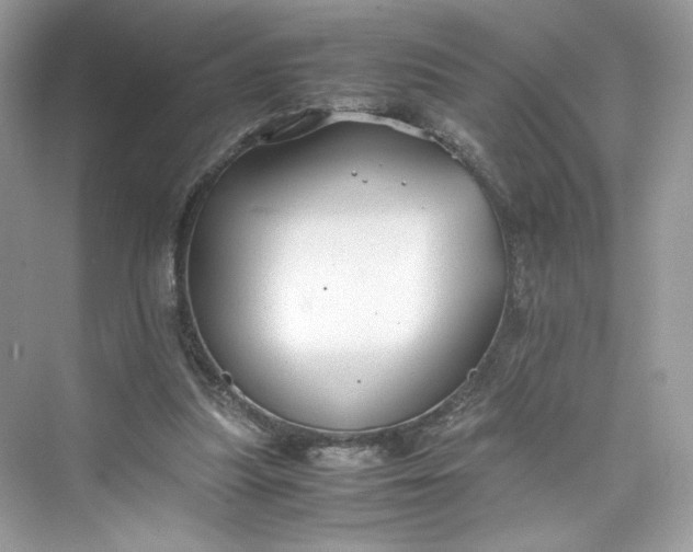 X0000075840251200609291445