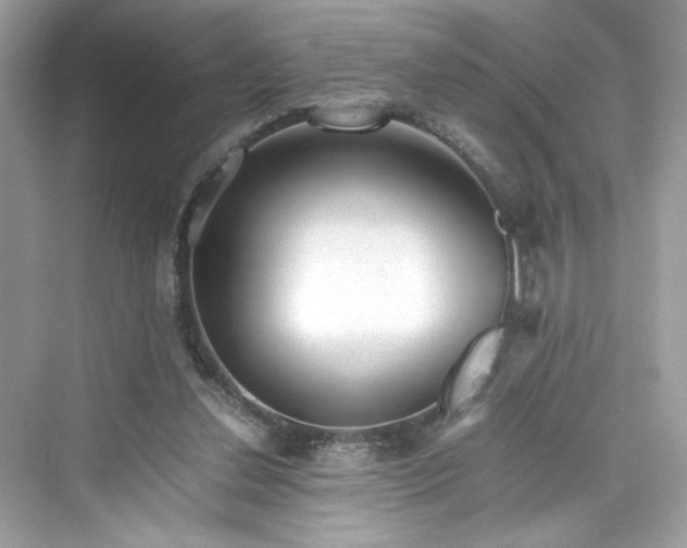 X0000075840252200609291445