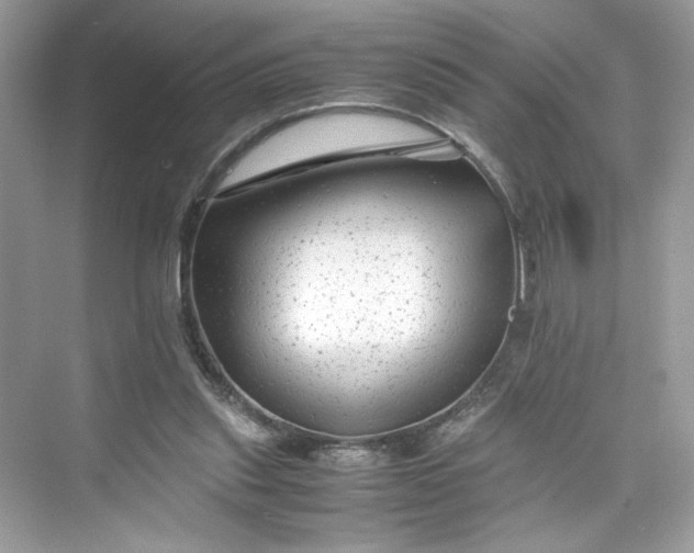 X0000075840253200609291445