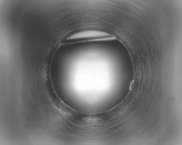 X0000075840255200609291445