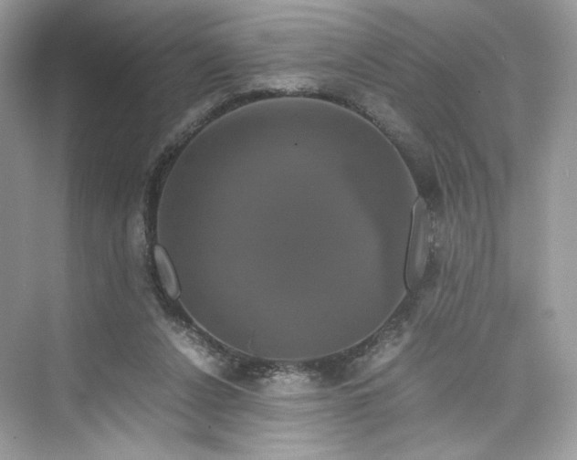 X0000075840256200609291445