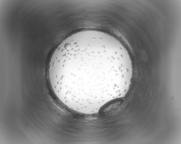 X0000075840257200609291445