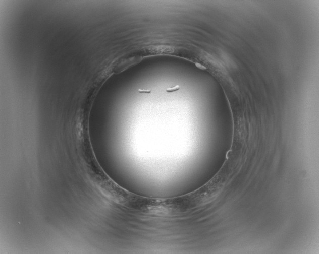 X0000075840259200609291445