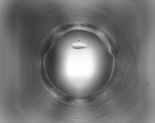 X0000075840260200609291445