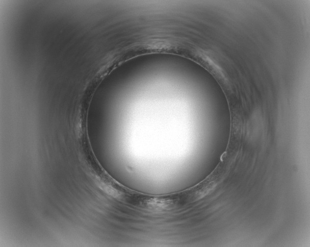 X0000075840261200609291445