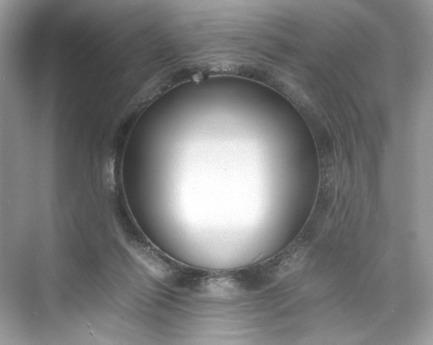 X0000075840262200609291445