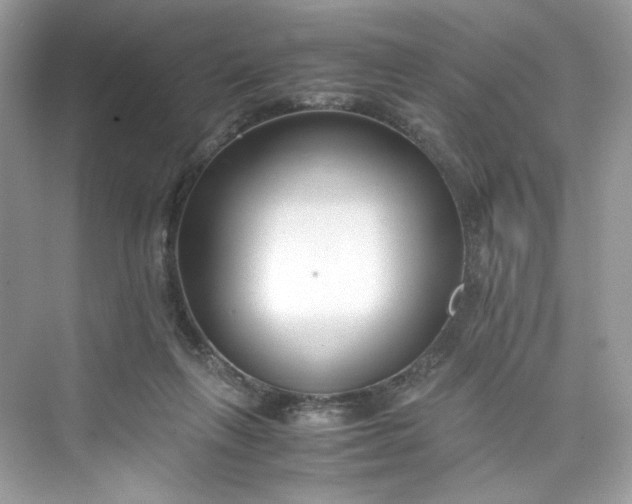 X0000075840263200609291445