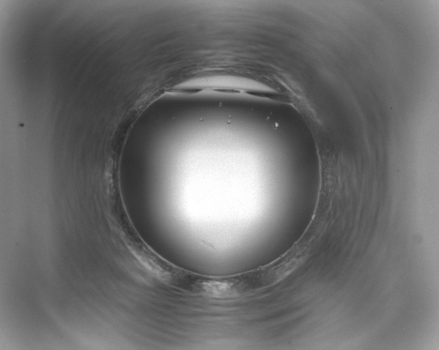 X0000075840265200609291445