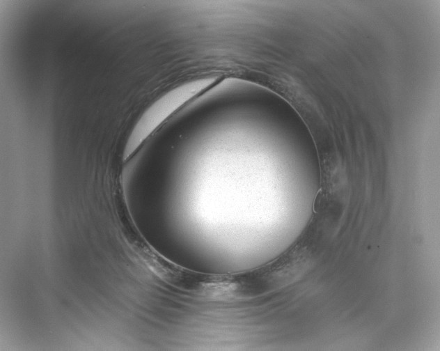 X0000075840266200609291445