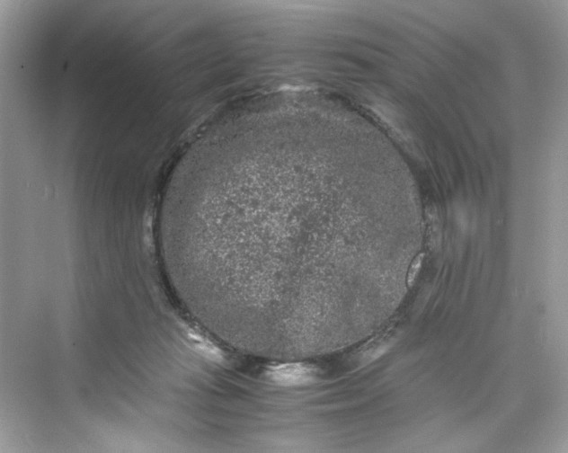 X0000075840269200609291445