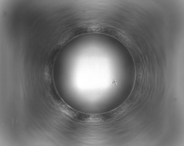 X0000075840270200609291445