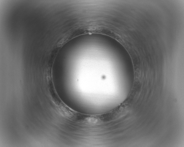 X0000075840272200609291445