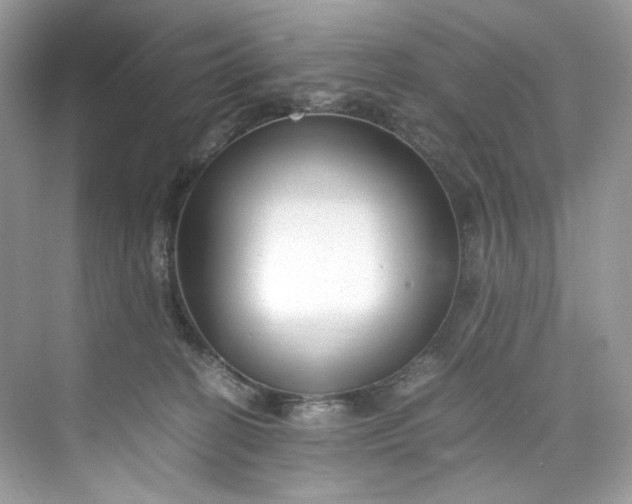 X0000075840274200609291445