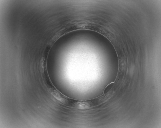 X0000075840275200609291445