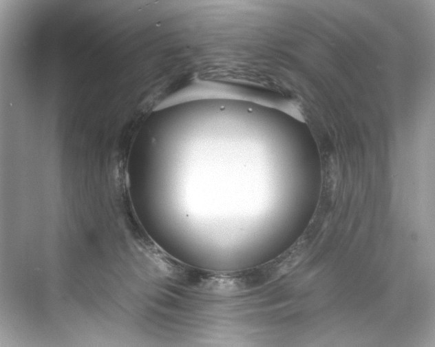 X0000075840276200609291445