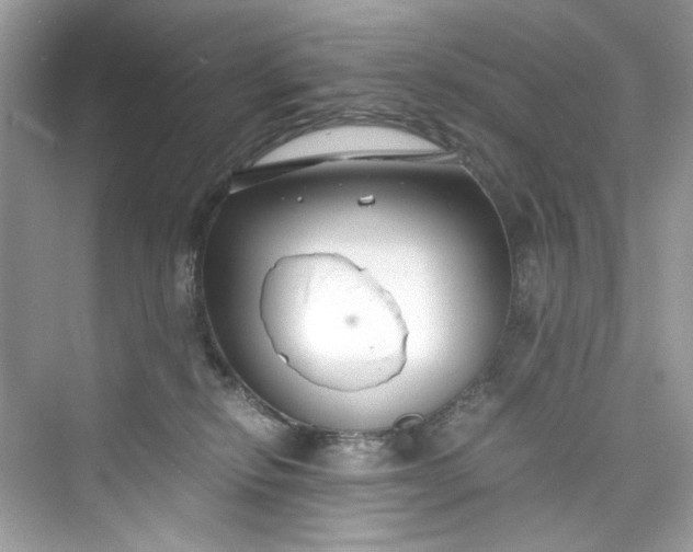 X0000075840278200609291445