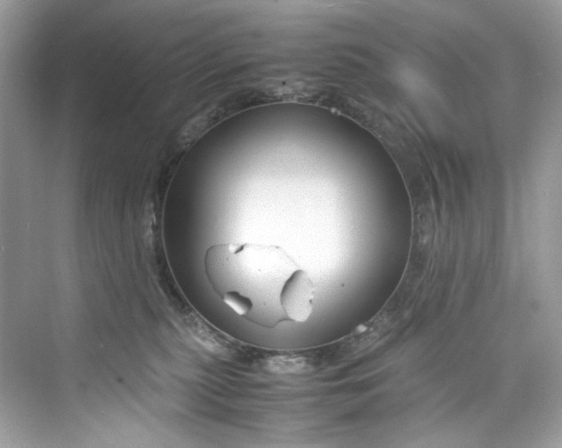 X0000075840279200609291445