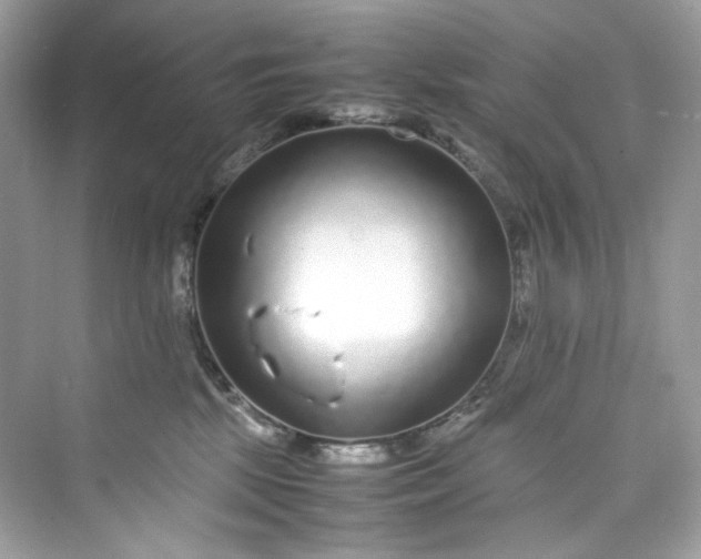 X0000075840281200609291445