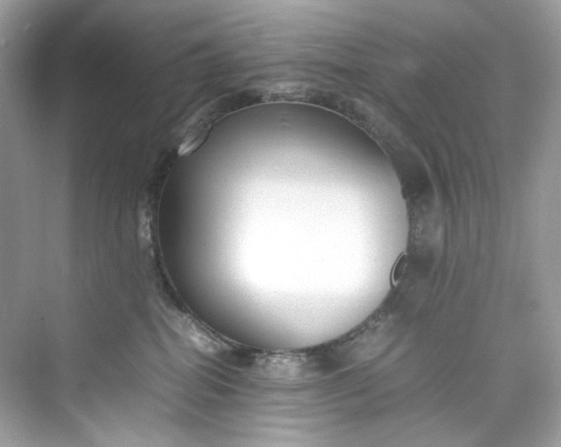 X0000075840282200609291445