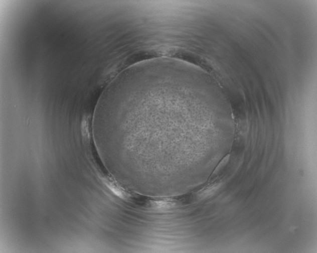 X0000075840286200609291446