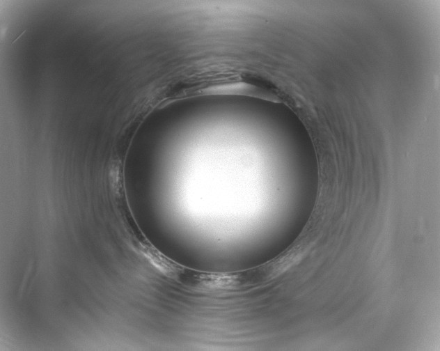 X0000075840288200609291446