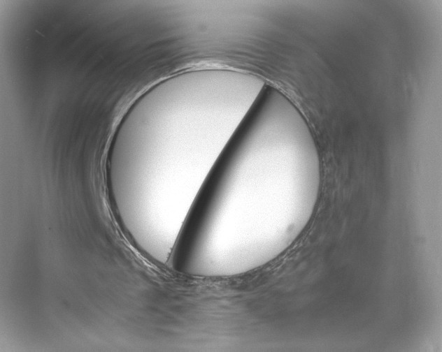 X0000075840289200609291445