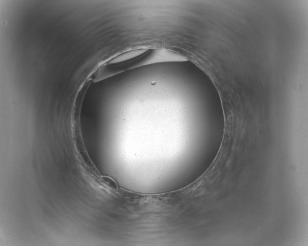 X0000075840290200609291445