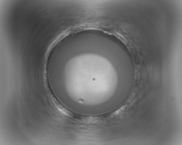 X0000075840293200609291445