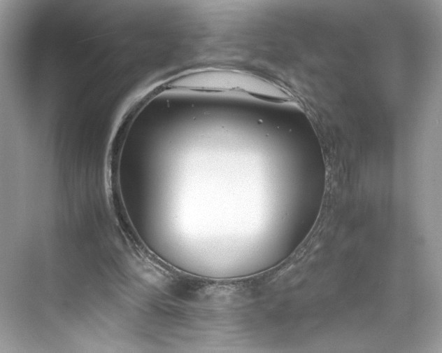 X0000075840294200609291445