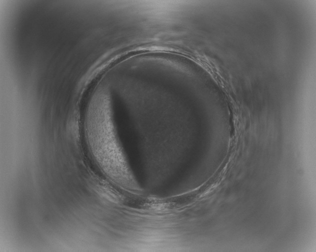 X0000075840295200609291445