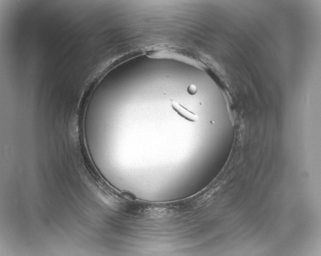 X0000075840298200609291445