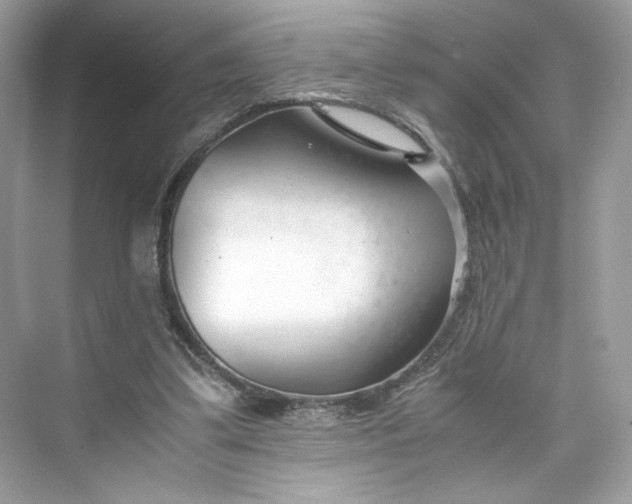 X0000075840299200609291445