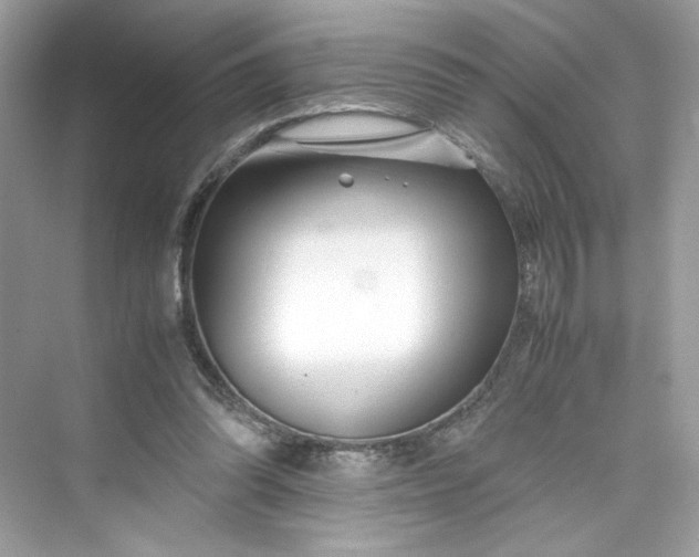 X0000075840302200609291445