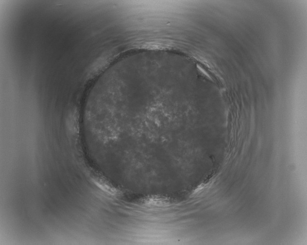 X0000075840303200609291445