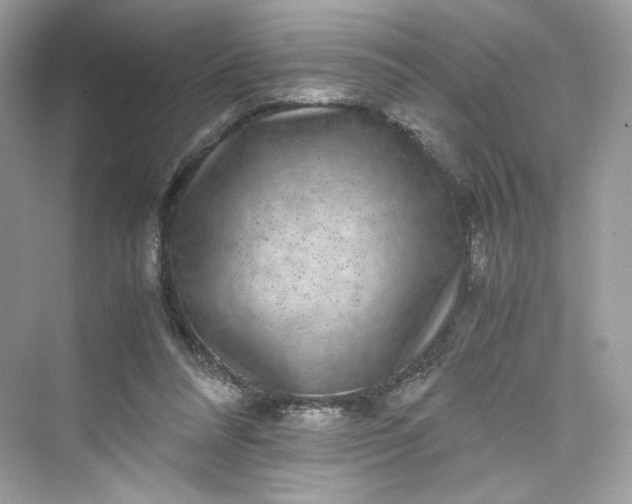 X0000075840304200609291444