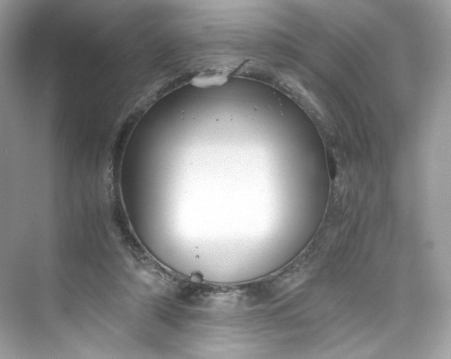 X0000075840306200609291444