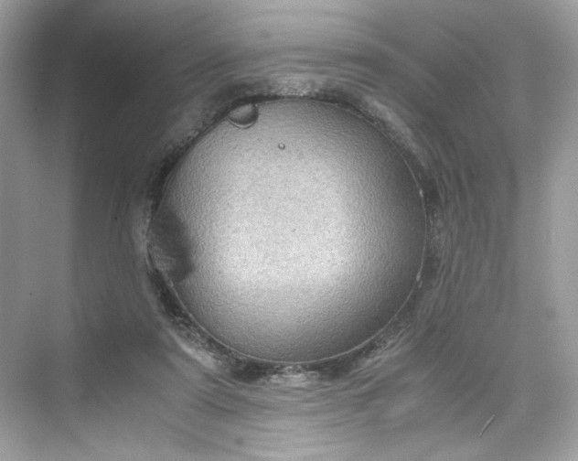 X0000075840307200609291444