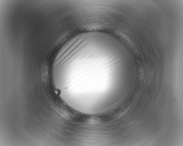 X0000075840308200609291444