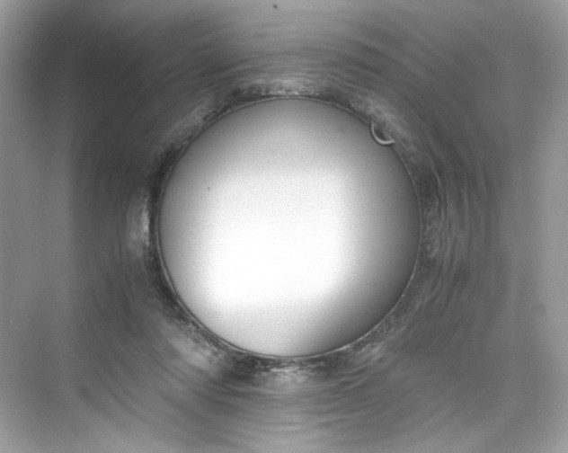 X0000075840310200609291444