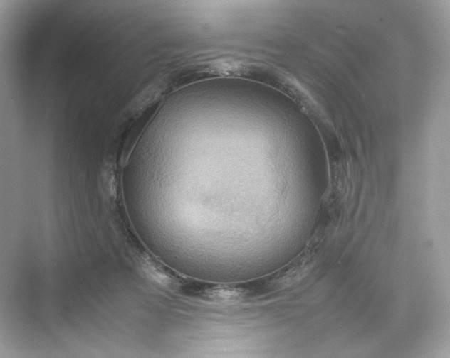 X0000075840313200609291444