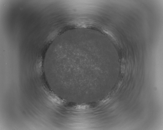 X0000075840314200609291444