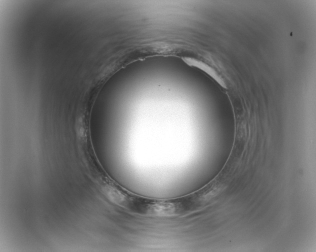 X0000075840317200609291444