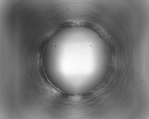 X0000075840318200609291444