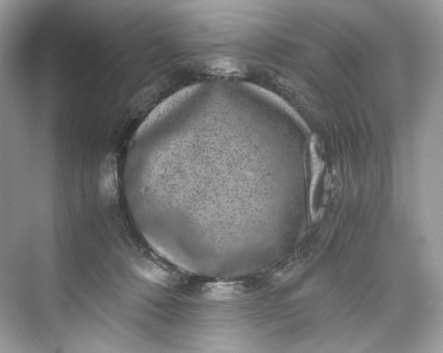 X0000075840320200609291444