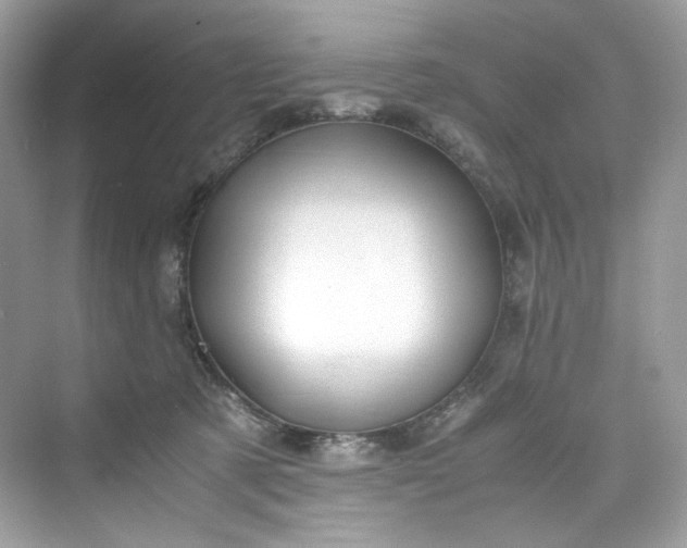 X0000075840321200609291444